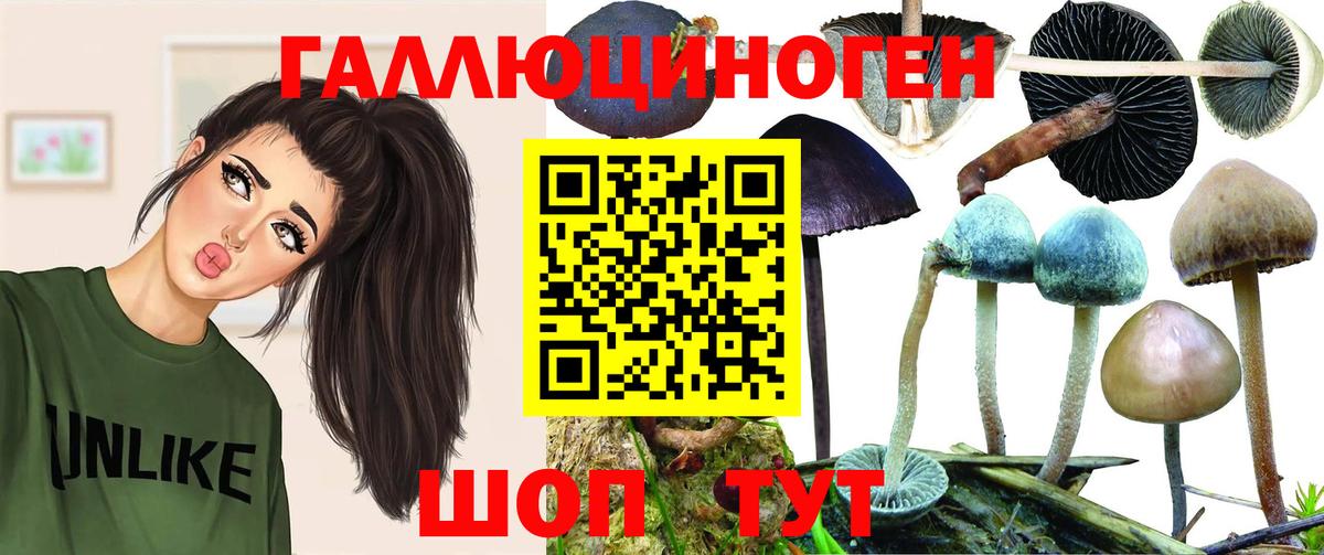 Псилоцибиновые грибы Psilocybine cubensis  Псилоцибиновые грибы Psilocybe  Орёл  купить наркотики цена  Вход с VPN 
