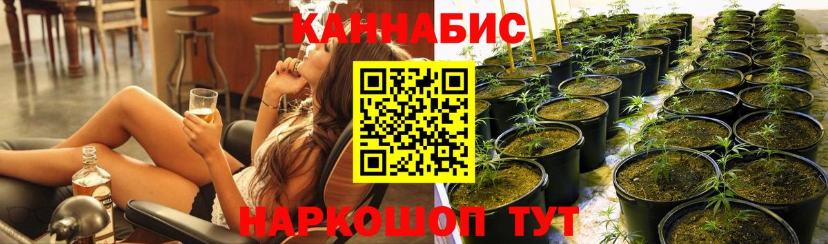 Шишки марихуана Amnesia Орёл